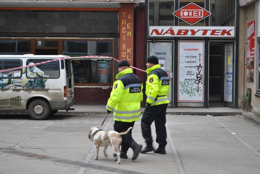 Příbram obnovila společné policejní hlídky, vidět jsou také policisté se psy - DSC_0127