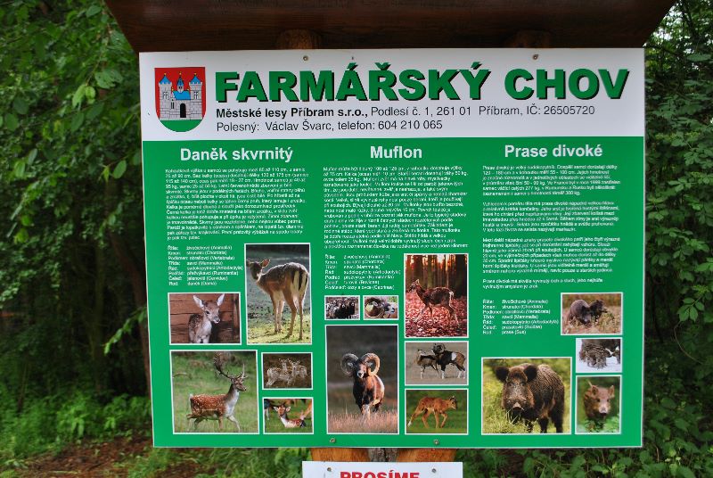 Ve Skorotíně nedaleko Příbrami byla otevřena obora Farmářský chov, podívat se může přijít kdokoliv - 2
