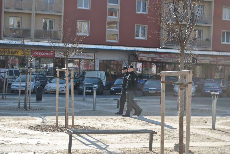 Společné hlídky strážníků městské policie a Policie ČR - 2