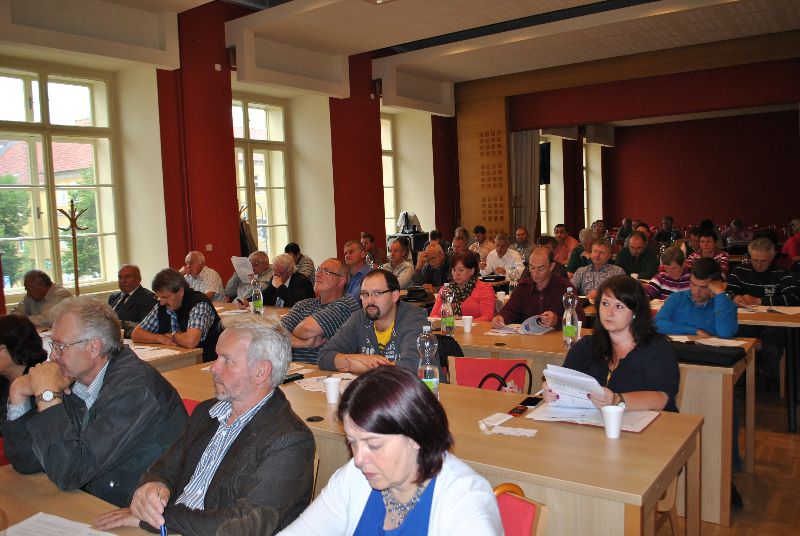 První schůzka starostů zapojených do projektu na podporu meziobecní spolupráce - DSC_0053