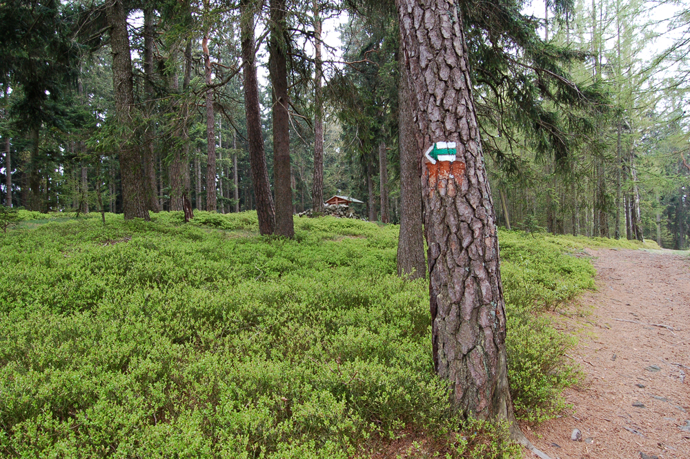 Dohoda o dalším postupu ve věci turistického značení v Brdech 2.9.2015 - brdy-tremosna