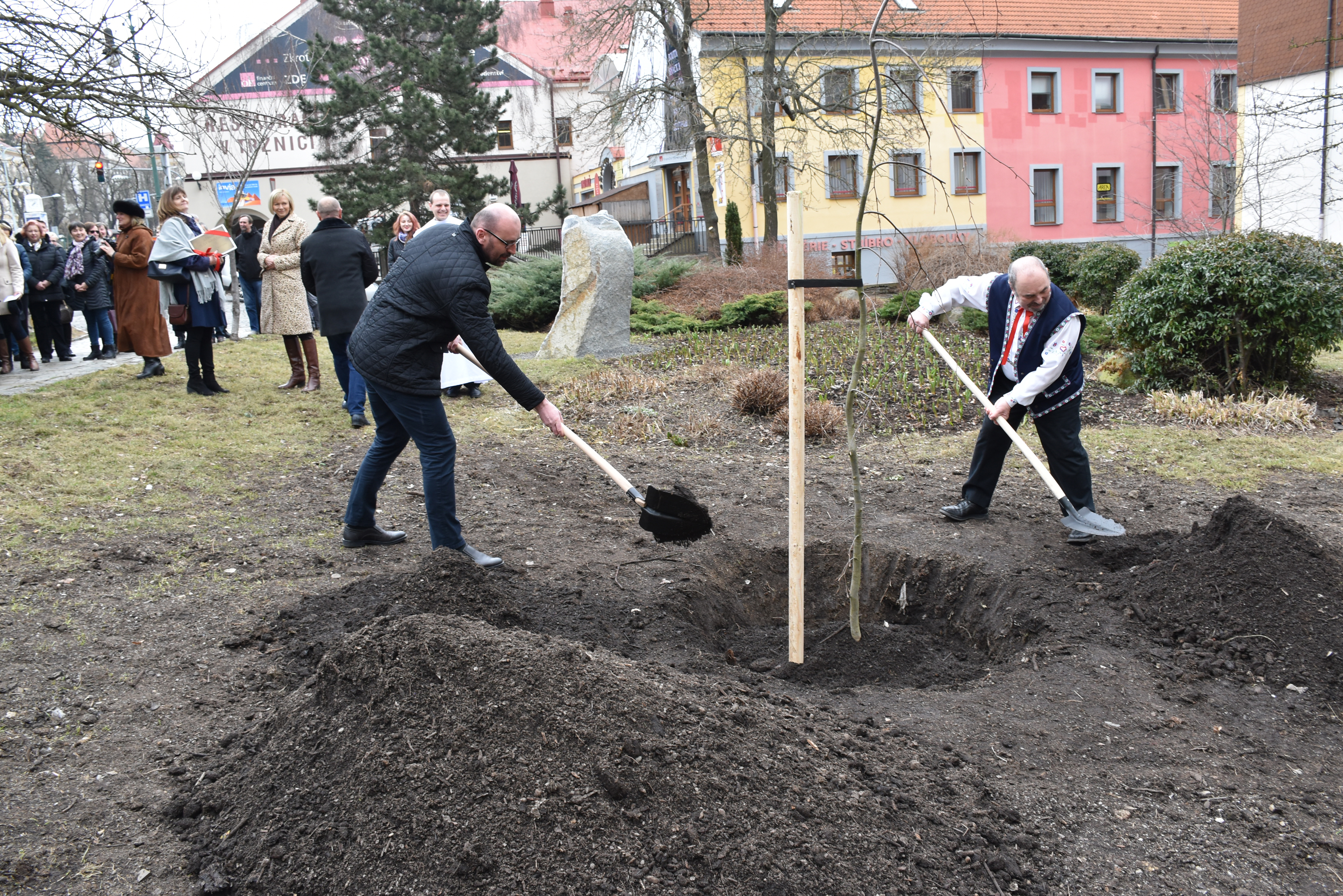 Strom Olgy Havlové zapustí kořeny i v Příbrami - 05