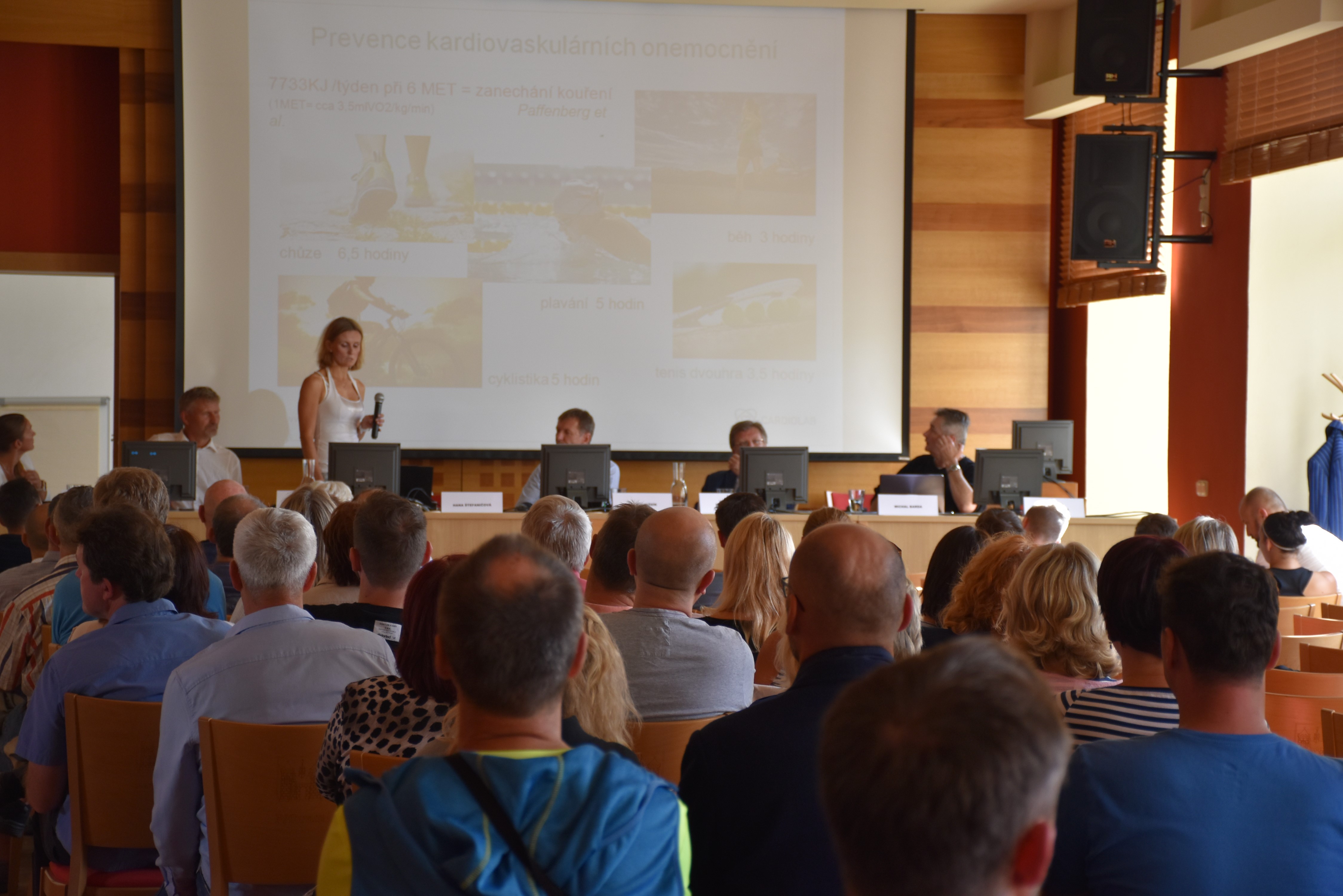 Bude Příbram v oblasti sportu průkopnickým městem? - DSC_0426