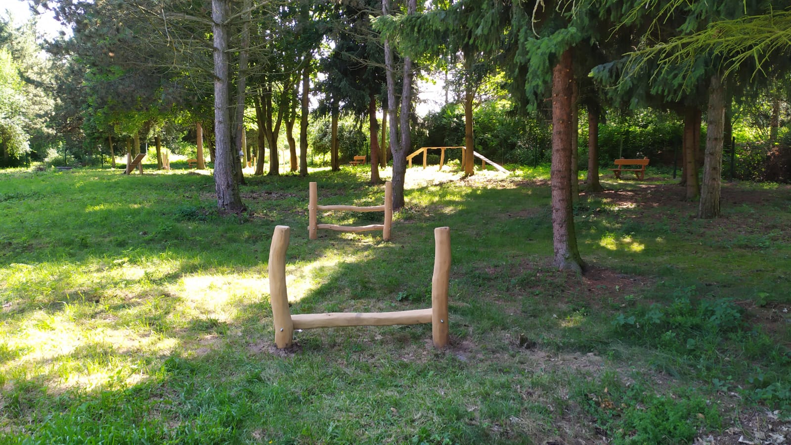 agility