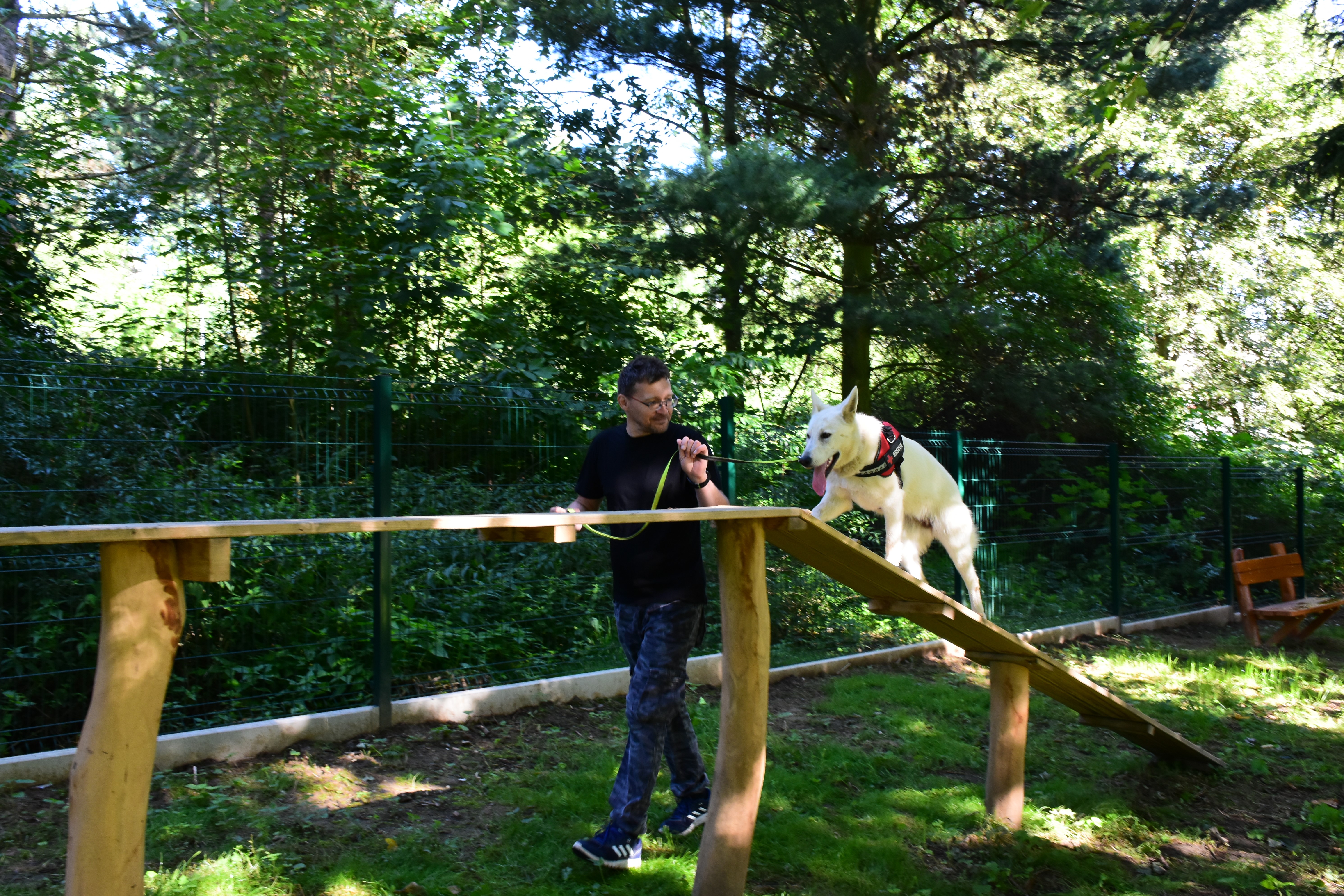 Agility