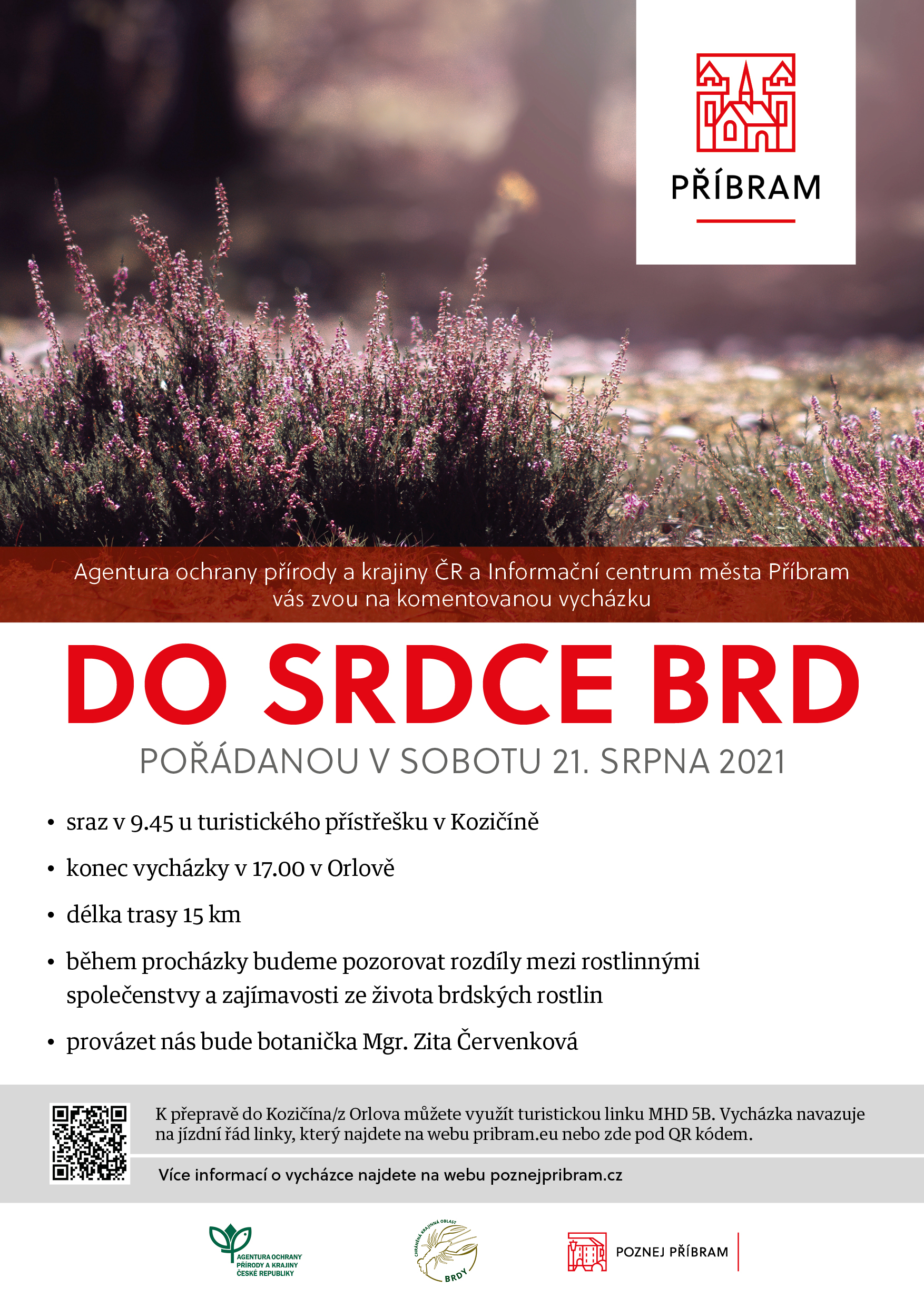 Do srdce Brd