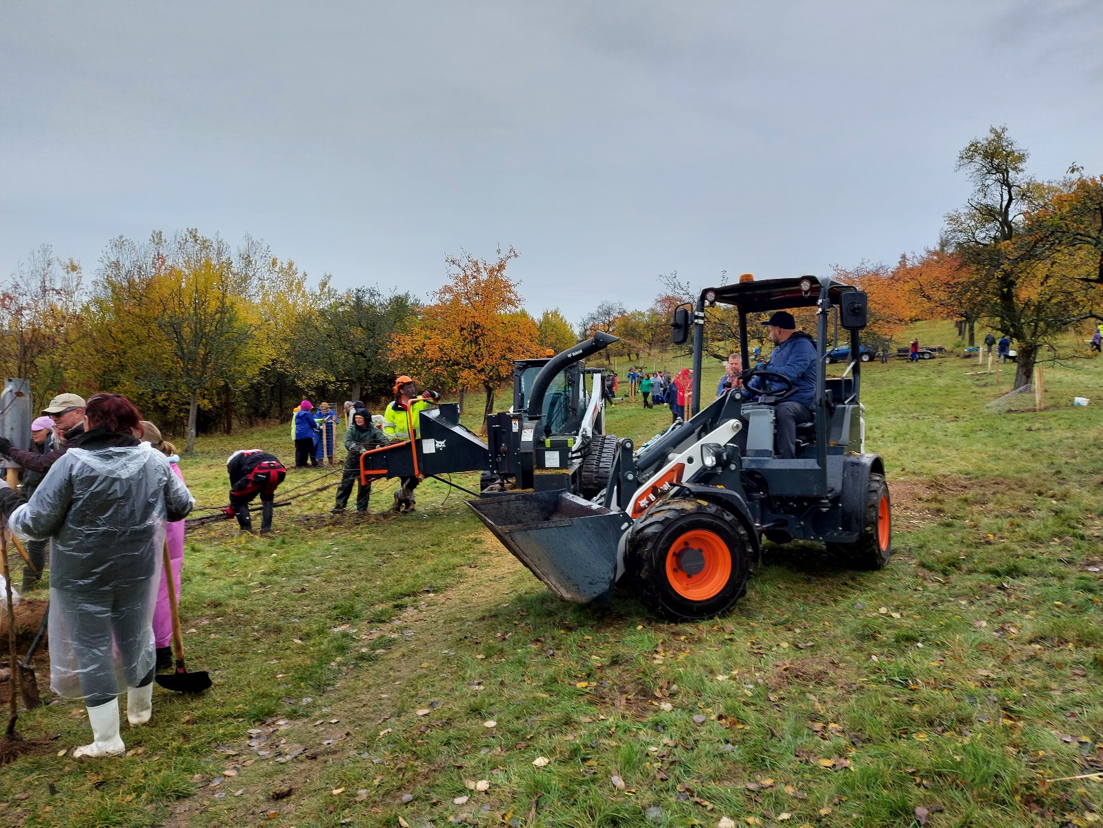 Bylo vysazeno 140 ovocných stromů - 231103-2